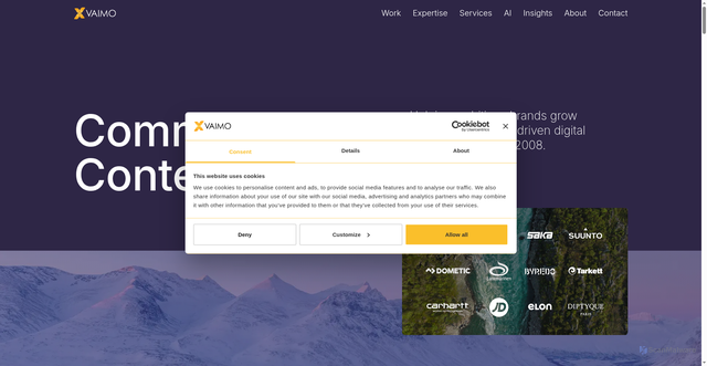 Security scan screenshot of https://vaimo.network
