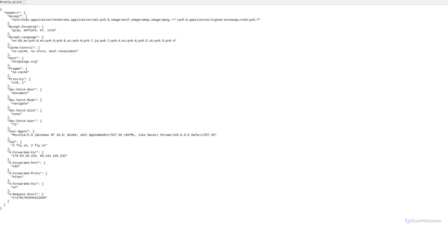 Security scan screenshot of https://httpbingo.org/headers