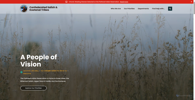 Security scan screenshot of https://cskt.org/
