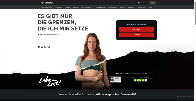 Security scan screenshot of https://www.joyclub.de