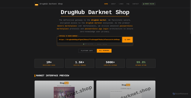 Security scan screenshot of drughubdarknet.shop