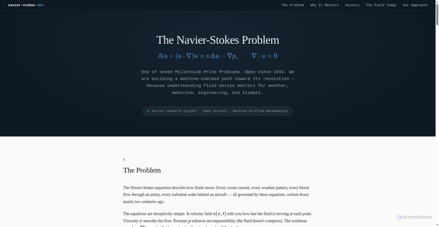 Security scan screenshot of https://navier-stokes.dev/