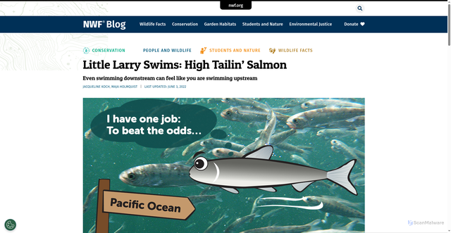 Security scan screenshot of https://blog.nwf.org/2022/05/little-larry-swims-high-tailin-salmon/
