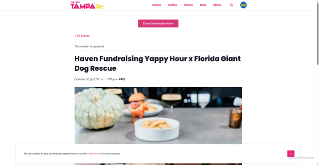 Security scan screenshot of https://thatssotampa.com/event/haven-fundraising-yappy-hour-x-florida-giant-dog-rescue/