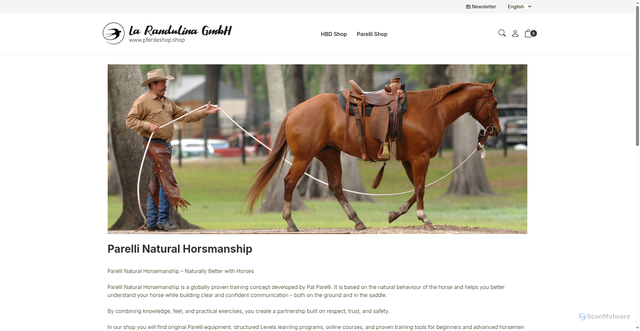 Security scan screenshot of https://pferdeshop.shop