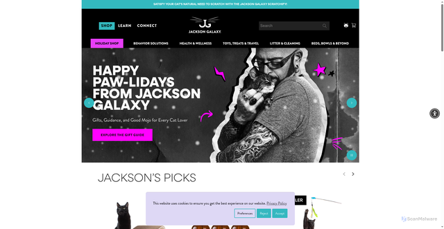 Security scan screenshot of https://www.jacksongalaxy.com