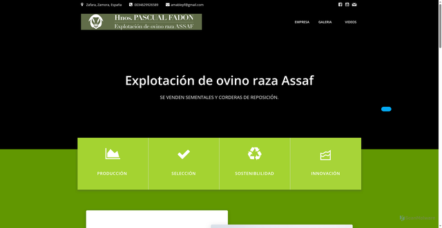 Security scan screenshot of https://hnospascualfadon.com