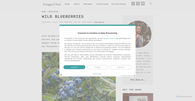 Security scan screenshot of https://foragerchef.com/wild-blueberries/