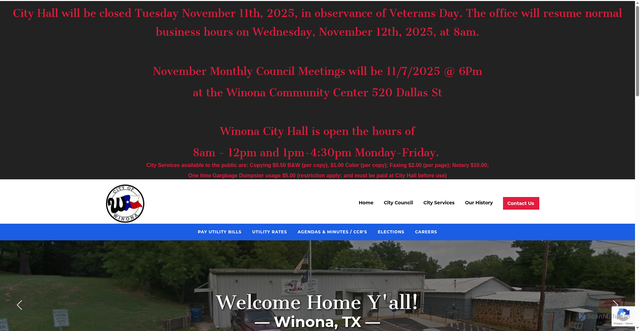 Security scan screenshot of https://www.winonatx.gov/