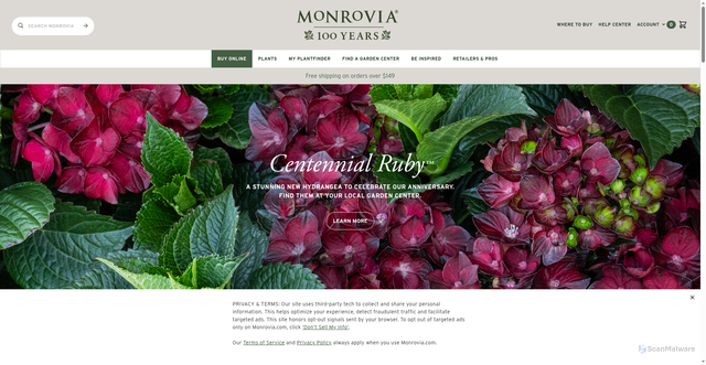 Security scan screenshot of https://monrovia.com