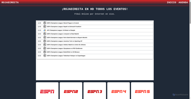 Security scan screenshot of https://rojadirect-a.com/