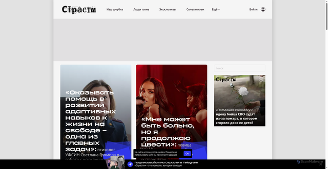 Security scan screenshot of https://www.passion.ru
