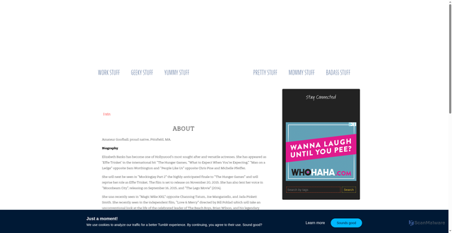 Security scan screenshot of https://elizabethbanks.com/about