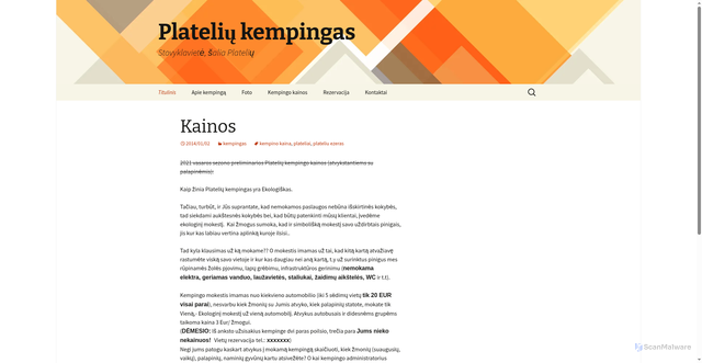 Security scan screenshot of https://plateliukempingas.lt