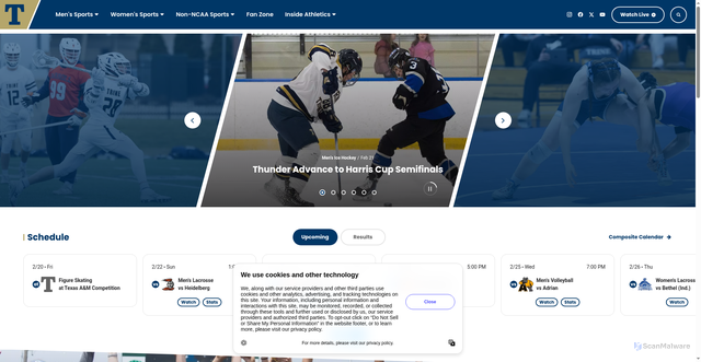 Security scan screenshot of https://trinethunder.com/