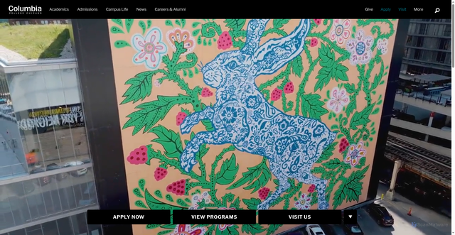 Security scan screenshot of https://www.colum.edu