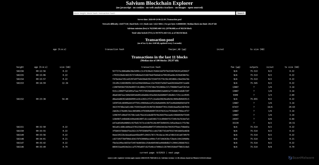 Security scan screenshot of https://explorer.salvium.io