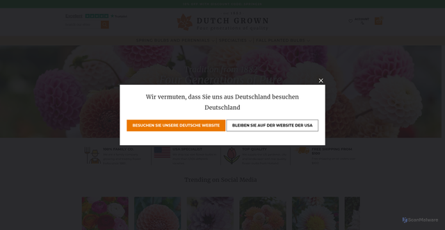 Security scan screenshot of https://dutchgrown.com