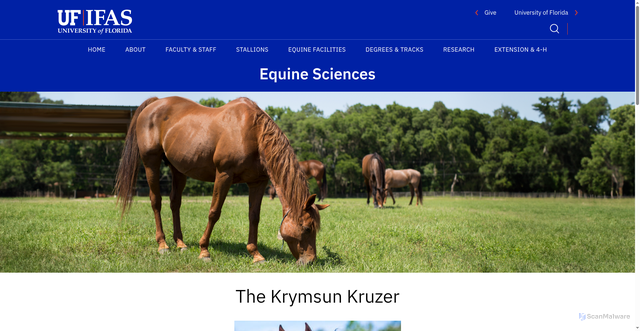 Security scan screenshot of https://animal.ifas.ufl.edu/equine/breeding--sales/stallions/