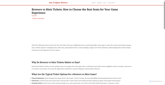 Security scan screenshot of https://vistalokalflow-dpmdyp2ylod7.edgeone.app/brewers-vs-mets-tickets.html