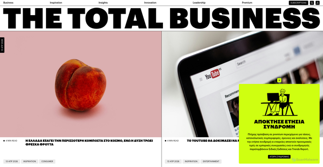 Security scan screenshot of https://thetotalbusiness.com