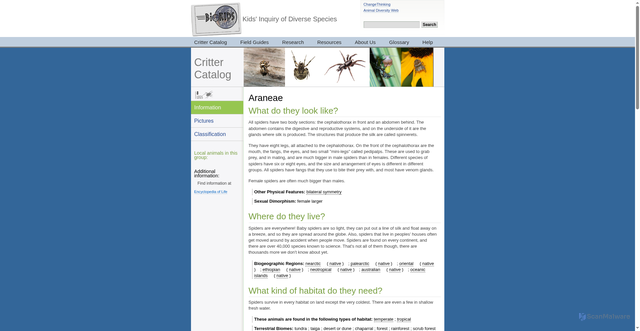 Security scan screenshot of https://www.biokids.umich.edu/critters/Araneae/