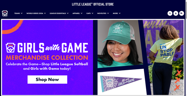 Security scan screenshot of https://www.shoplittleleague.org/