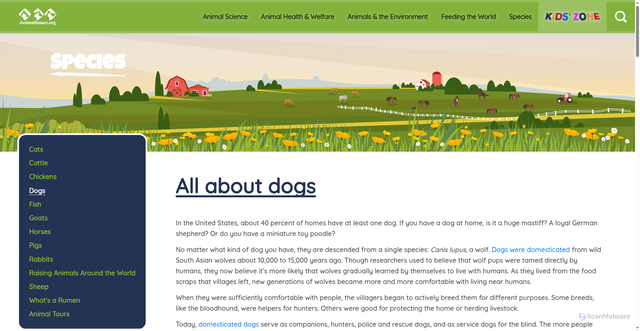 Security scan screenshot of https://animalsmart.org/species/dogs
