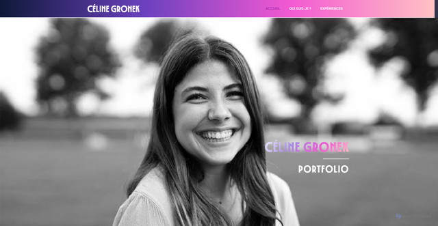 Security scan screenshot of https://celine-gronek.fr/