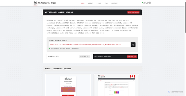 Security scan screenshot of wethenorthonion.shop