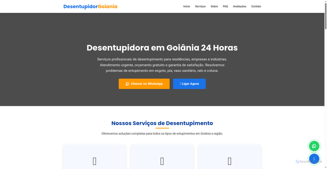 Security scan screenshot of https://desentupidorgoiania.com/