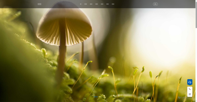 Security scan screenshot of https://kaiqi-z2h9n8is2w.edgeone.dev/