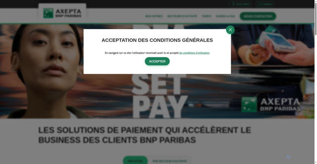Security scan screenshot of https://axepta.bnpparibas