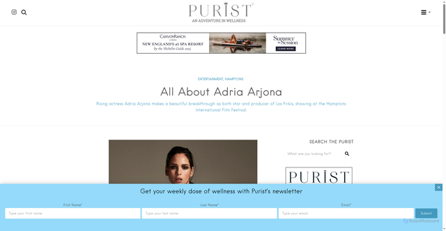 Security scan screenshot of https://thepuristonline.com/2024/09/all-about-adria-arjona/