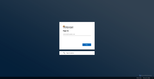 Security scan screenshot of https://chkd.udemy.com