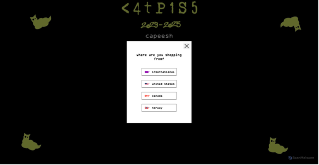 Security scan screenshot of https://capeeshsupply.com/