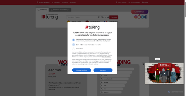Security scan screenshot of https://tureng.com