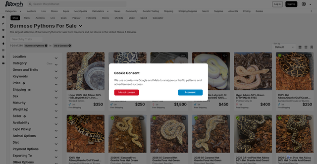 Security scan screenshot of https://www.morphmarket.com/us/c/reptiles/pythons/burmese-pythons