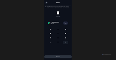 Screenshot of trustsend20.vercel.app