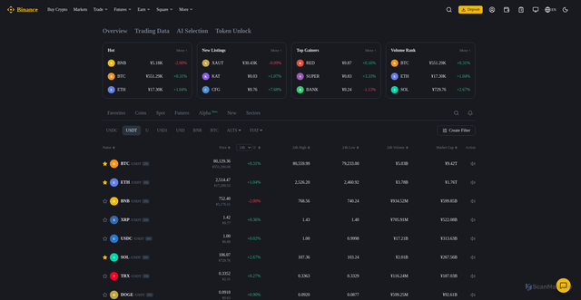 Security scan screenshot of https://da51ca.pages.dev/en/markets/overview