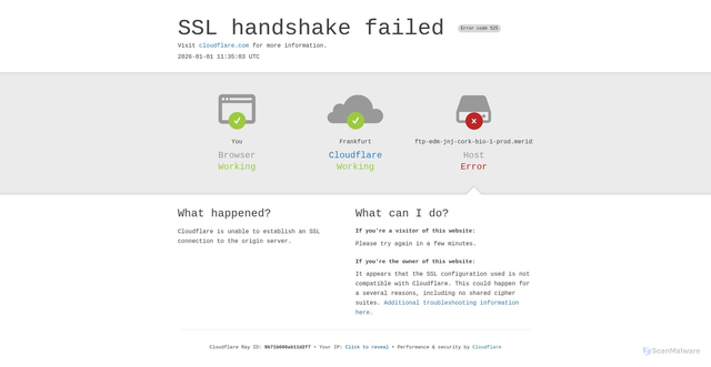Security scan screenshot of https://ftp-edm-jnj-cork-bio-1-prod.meridiancloud.eu