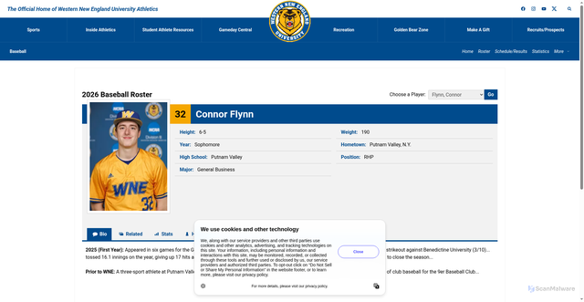 Security scan screenshot of https://wnegoldenbears.com/sports/baseball/roster/connor-flynn/11588