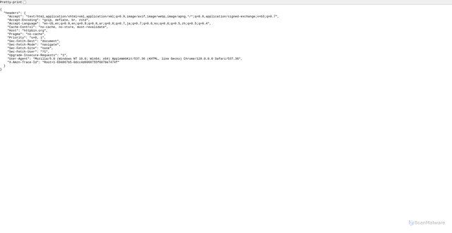 Security scan screenshot of https://httpbin.org/headers