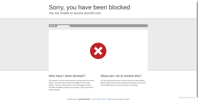 Security scan screenshot of https://api.punchh.com