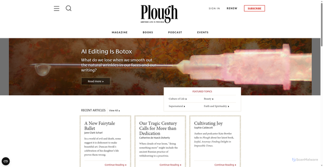 Security scan screenshot of https://www.plough.com