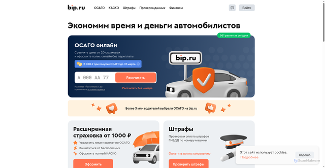 Security scan screenshot of https://bip.ru