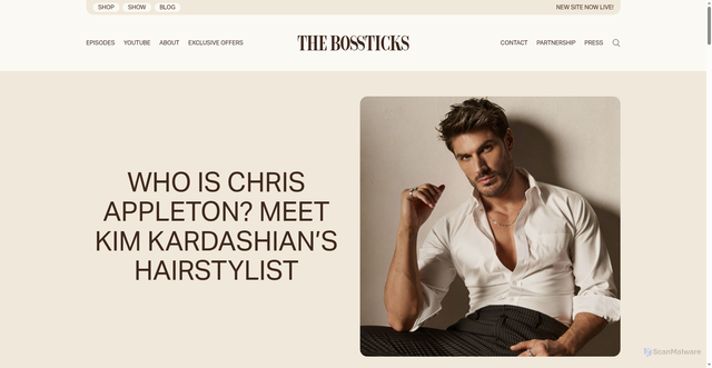 Security scan screenshot of https://thebossticks.com/who-is-chris-appleton/