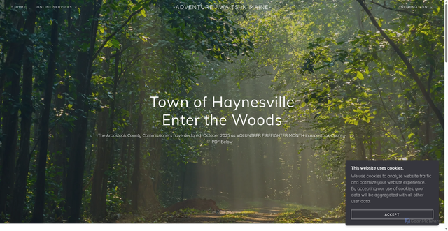 Security scan screenshot of https://haynesvilleme.gov/