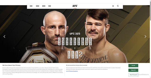 Security scan screenshot of https://jp.ufc.com/event/ufc-325
