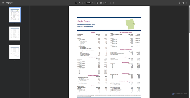 Security scan screenshot of https://edr.state.fl.us/content/area-profiles/county/flagler.pdf